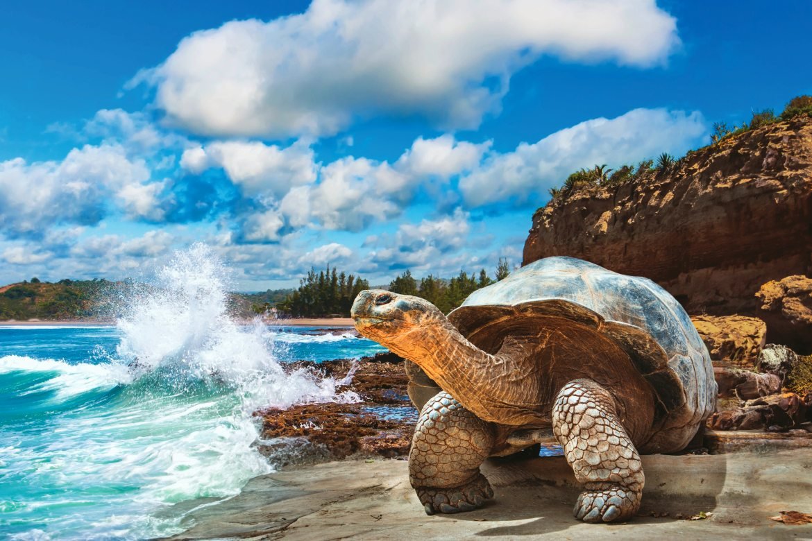 Essential Sights and Experiences in the Galapagos Islands